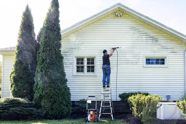 Best Roof Washing  in Helena West Side, MT